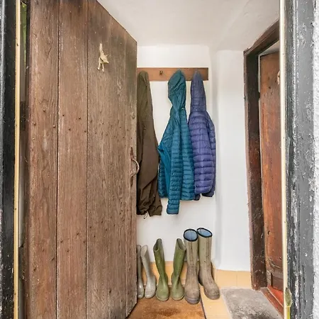 Burrow *